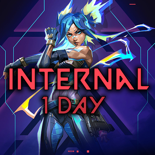 1 Day Valorant Internal