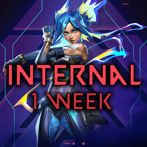 1 Week Valorant Internal 