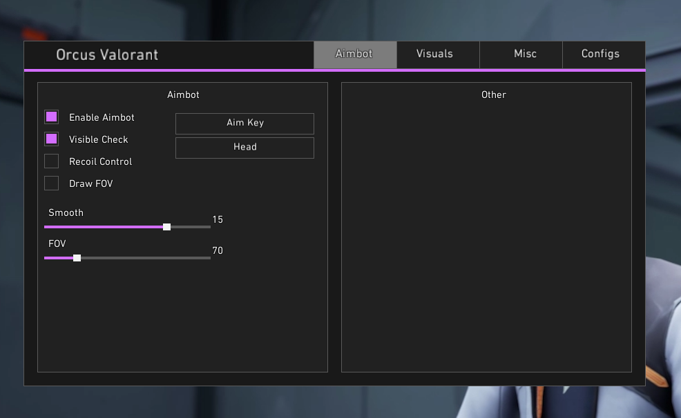 Valorant Cheat Main View
